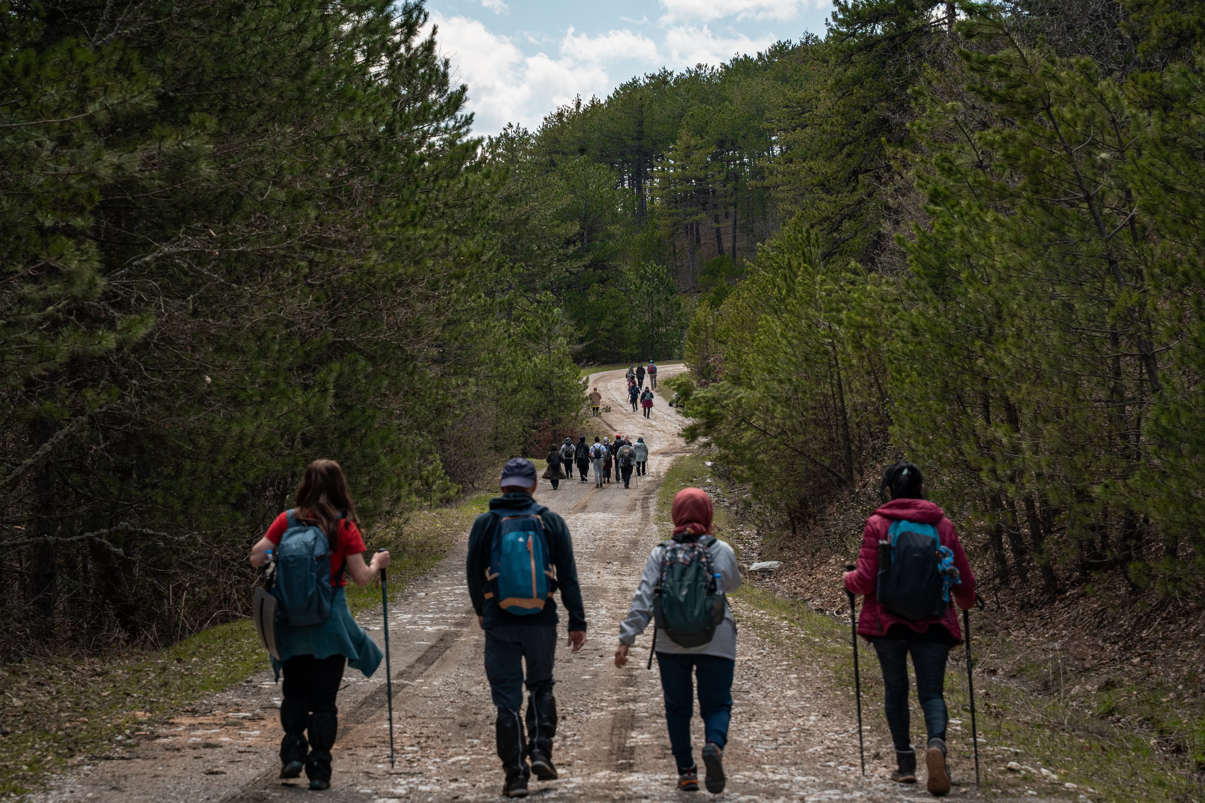 Trekkers walking a forest trail together